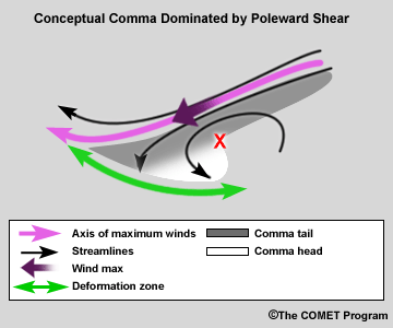 Conceptual model dominated by poleward shear